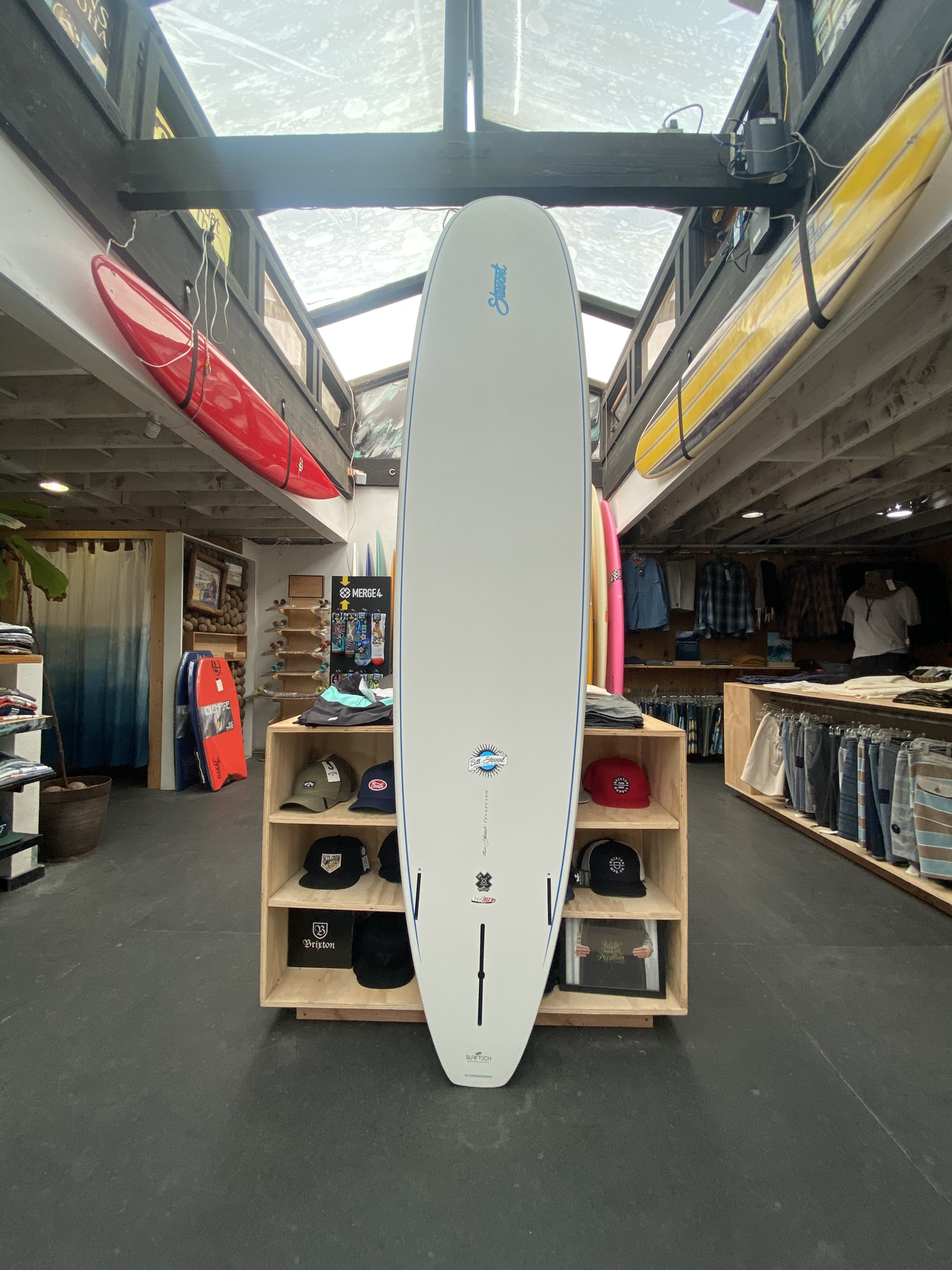 新品RockDance Longboards | Bird Rock Surf Shop