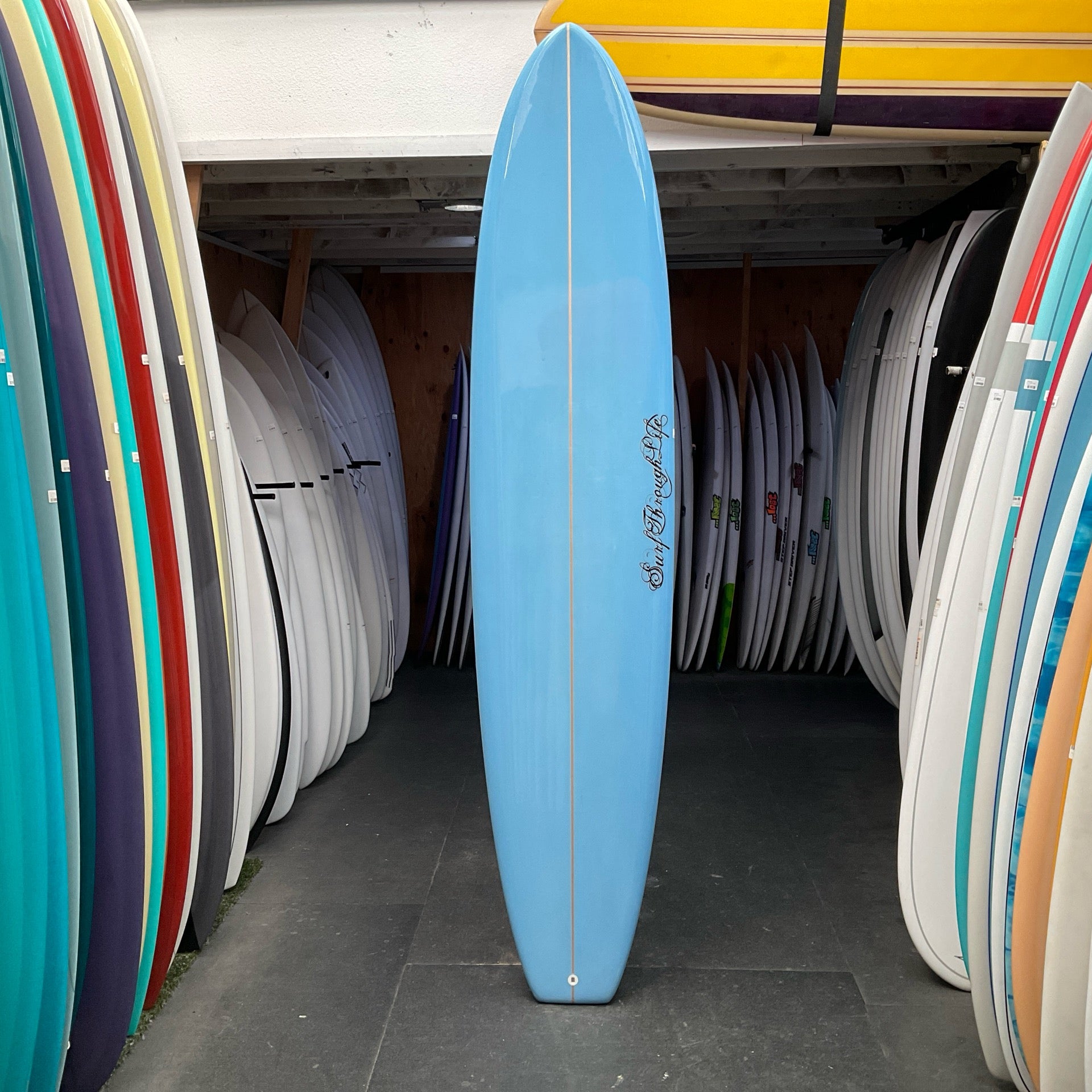 DVS ブルー ショートボード DVS ブルー ショートボード