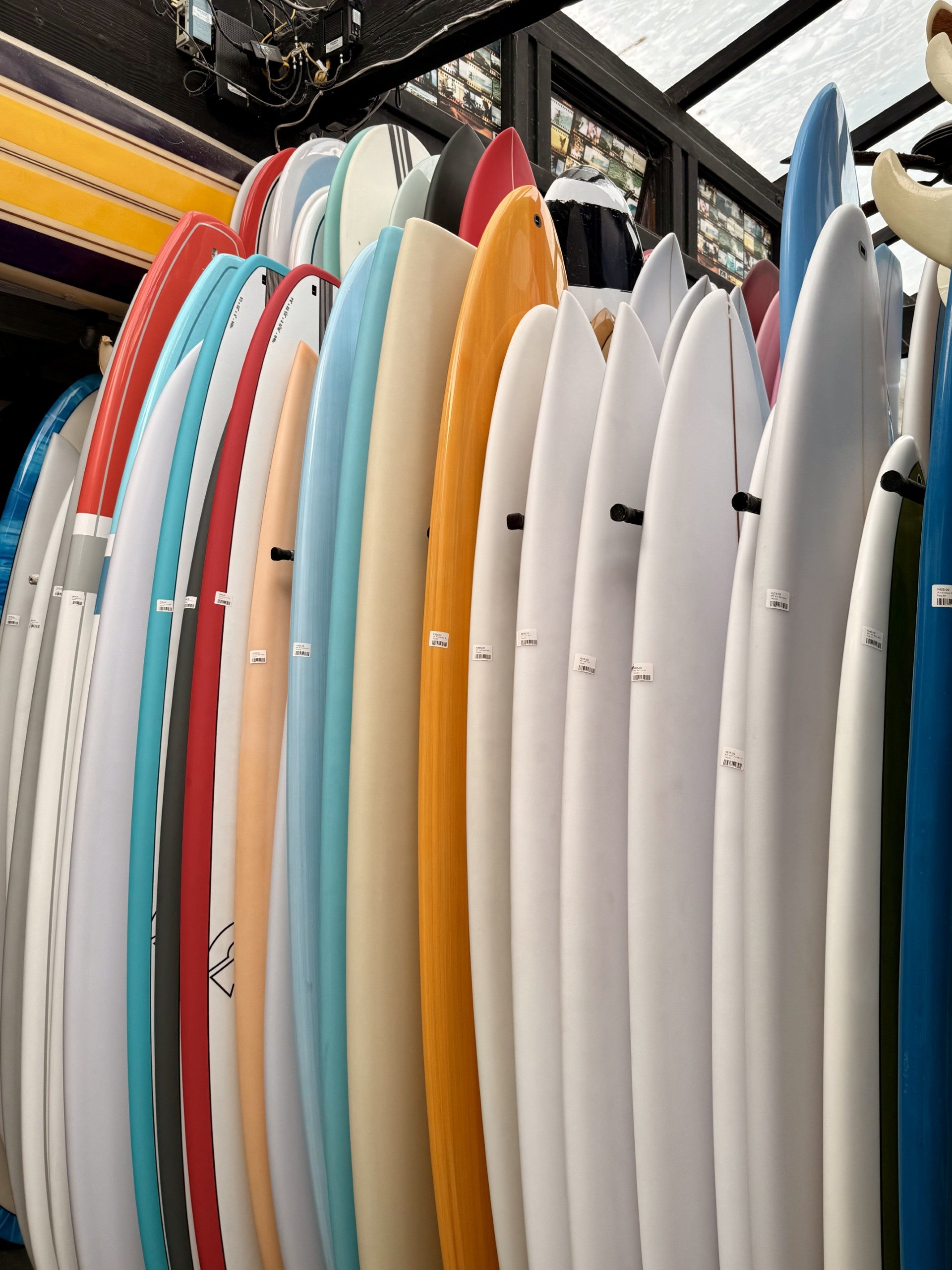 Midlengths | Bird Rock Surf Shop